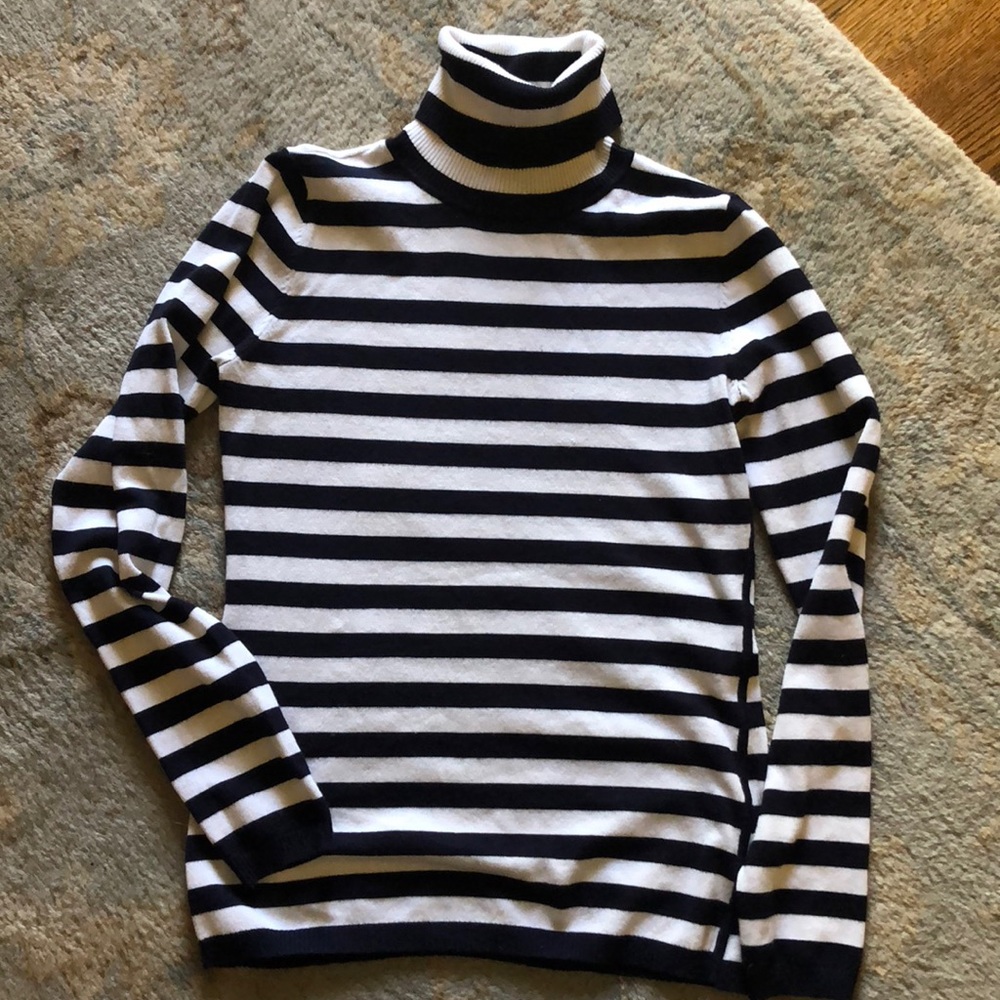 The Limited Navy and Cream Sweater Turtleneck